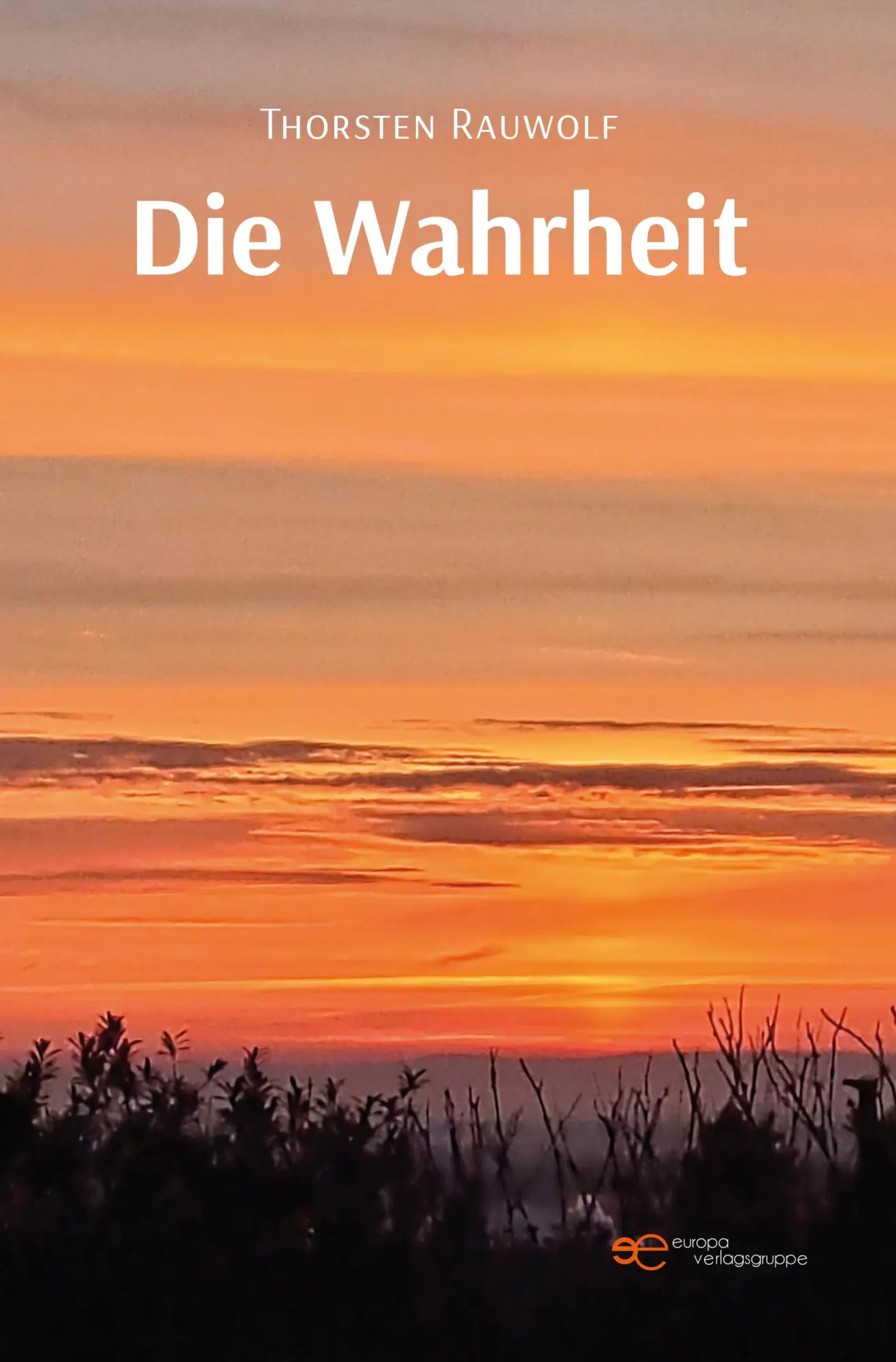 Cover: 9791257030889 | DIE WAHRHEIT | Thorsten Rauwolf | Taschenbuch | Universum | Deutsch