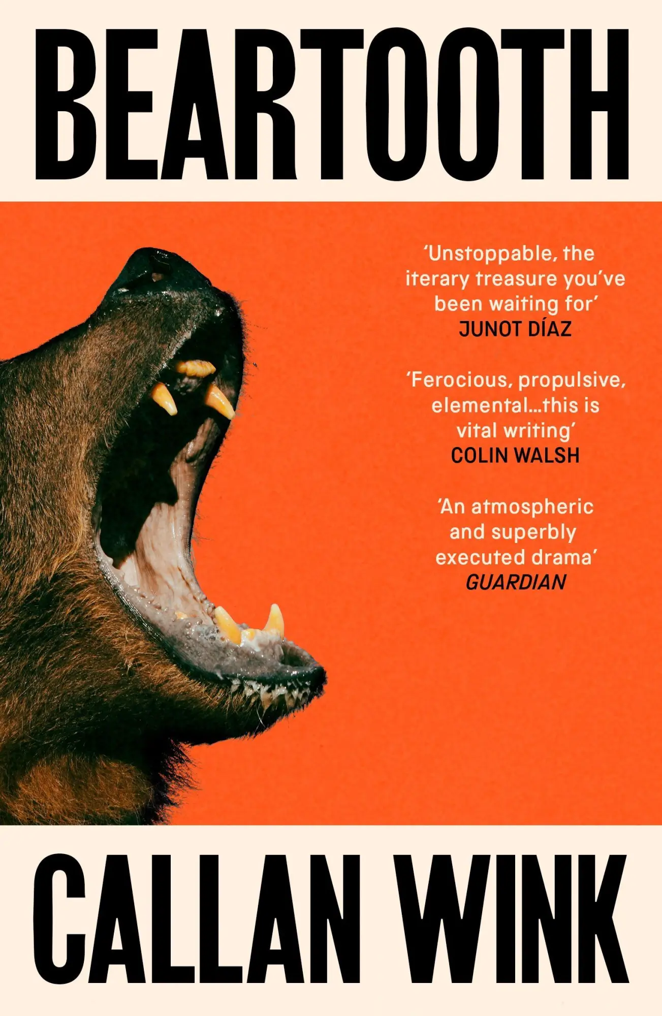 Cover: 9781803510989 | Beartooth | Callan Wink | Taschenbuch | 256 S. | Englisch | 2026