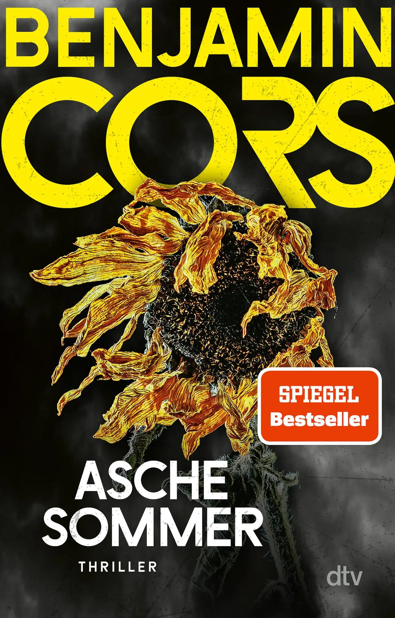 Cover: 9783423220989 | Aschesommer | Thriller Das neue Thrillerhighlight des Bestsellerautors
