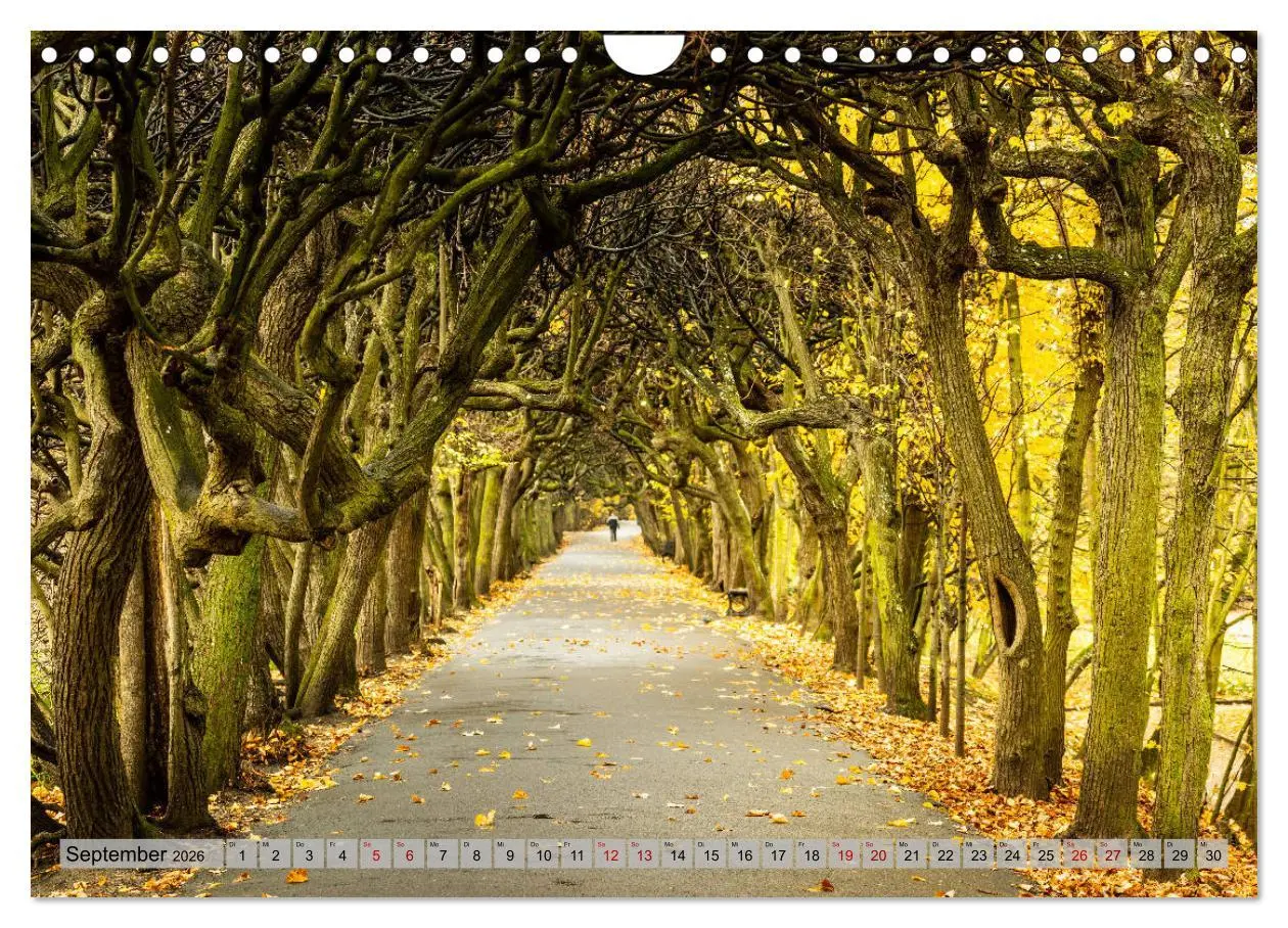 Bild: 9783457810989 | Dreistadt - Danzig, Gdingen, Zoppot (Wandkalender 2026 DIN A4...