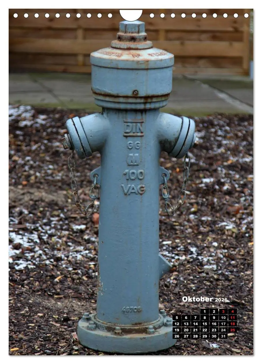 Bild: 9783516450989 | Nostalgie Hydranten (Wandkalender 2026 DIN A4 hoch), CALVENDO...