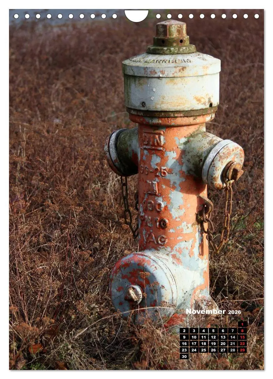 Bild: 9783516450989 | Nostalgie Hydranten (Wandkalender 2026 DIN A4 hoch), CALVENDO...