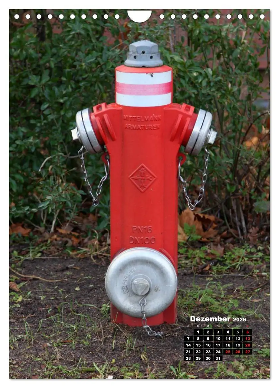 Bild: 9783516450989 | Nostalgie Hydranten (Wandkalender 2026 DIN A4 hoch), CALVENDO...