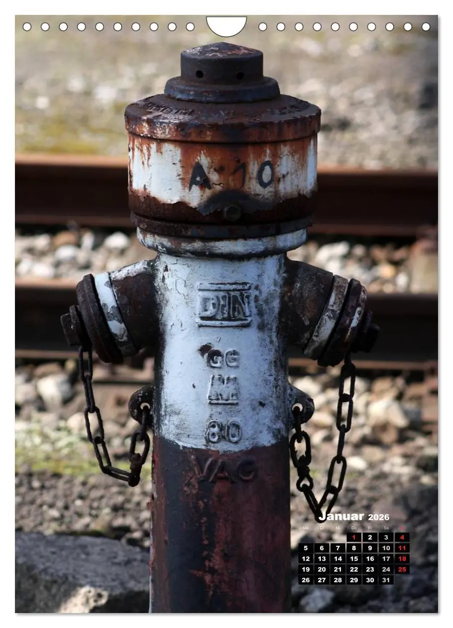 Bild: 9783516450989 | Nostalgie Hydranten (Wandkalender 2026 DIN A4 hoch), CALVENDO...