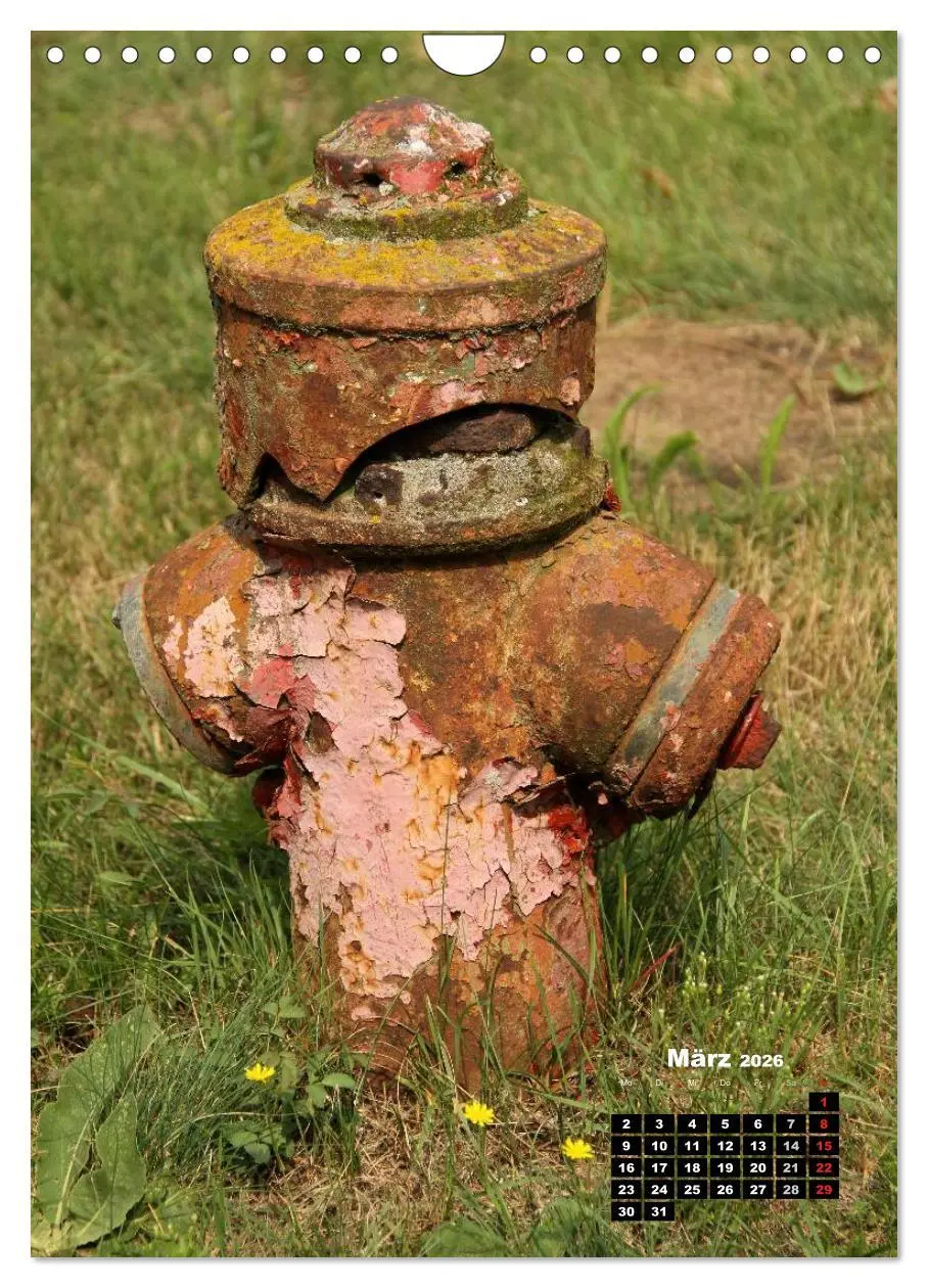 Bild: 9783516450989 | Nostalgie Hydranten (Wandkalender 2026 DIN A4 hoch), CALVENDO...