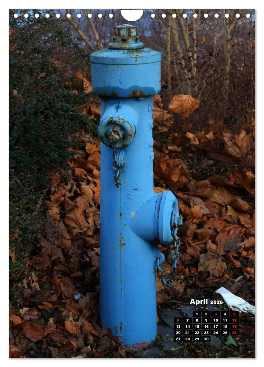 Bild: 9783516450989 | Nostalgie Hydranten (Wandkalender 2026 DIN A4 hoch), CALVENDO...