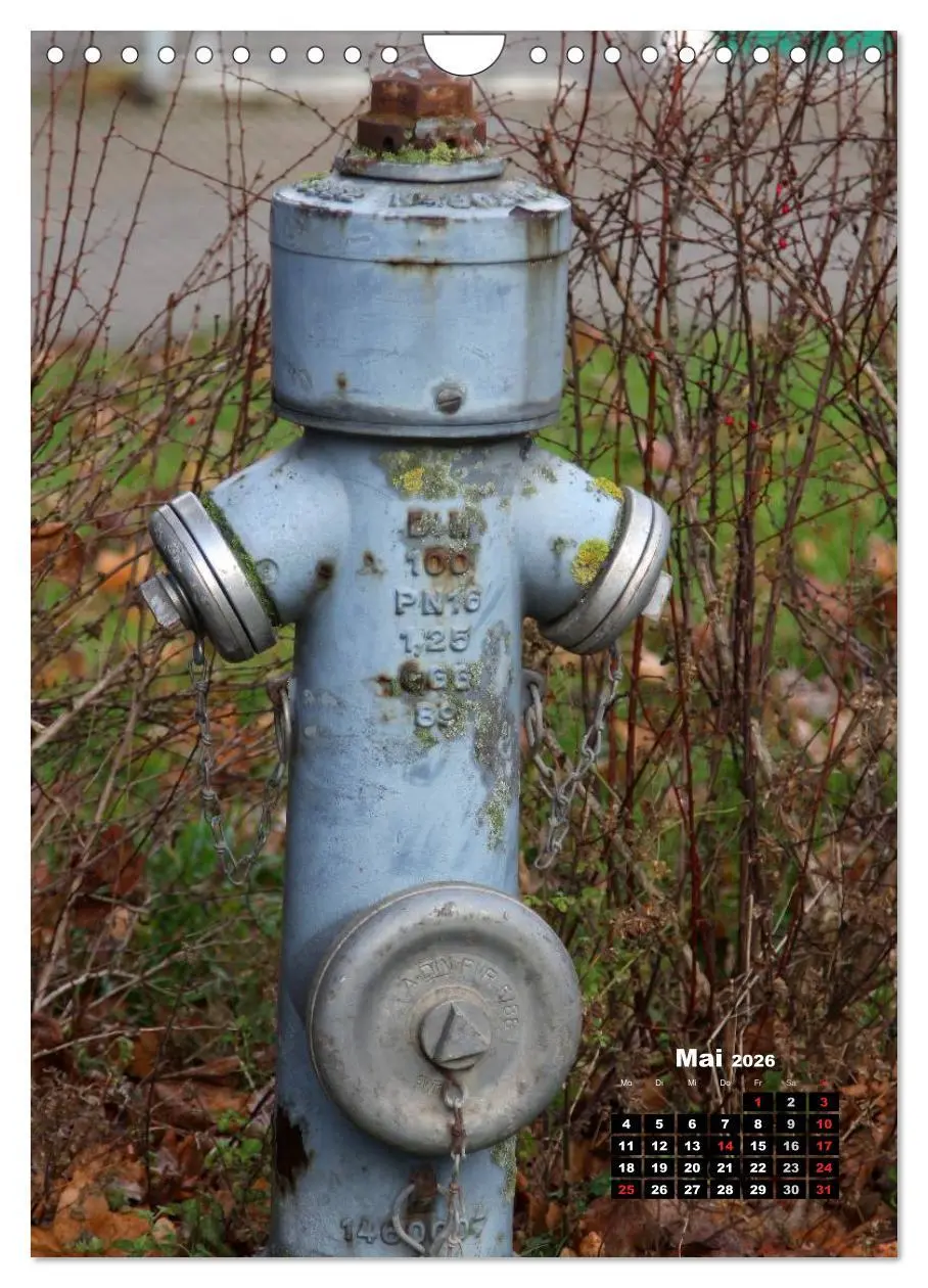 Bild: 9783516450989 | Nostalgie Hydranten (Wandkalender 2026 DIN A4 hoch), CALVENDO...