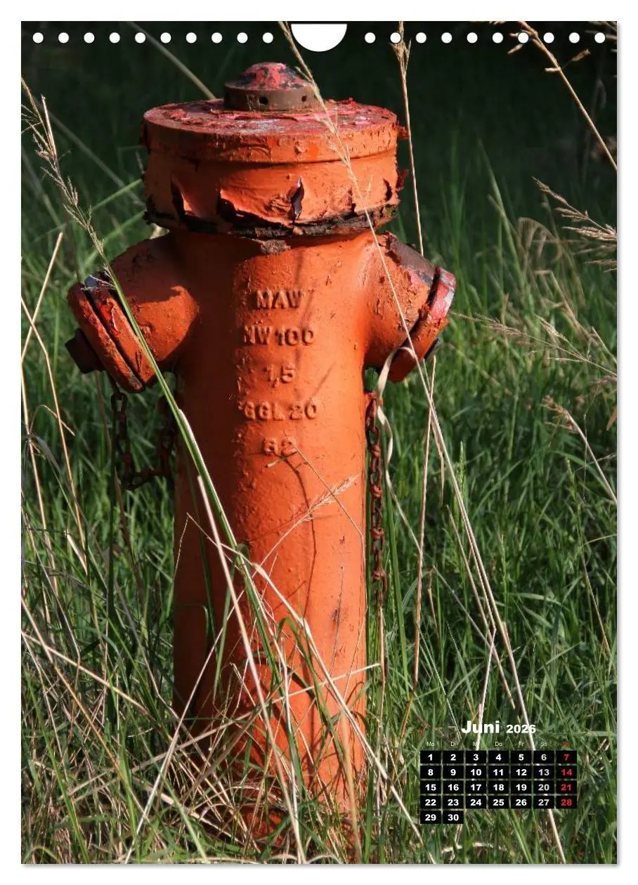 Bild: 9783516450989 | Nostalgie Hydranten (Wandkalender 2026 DIN A4 hoch), CALVENDO...
