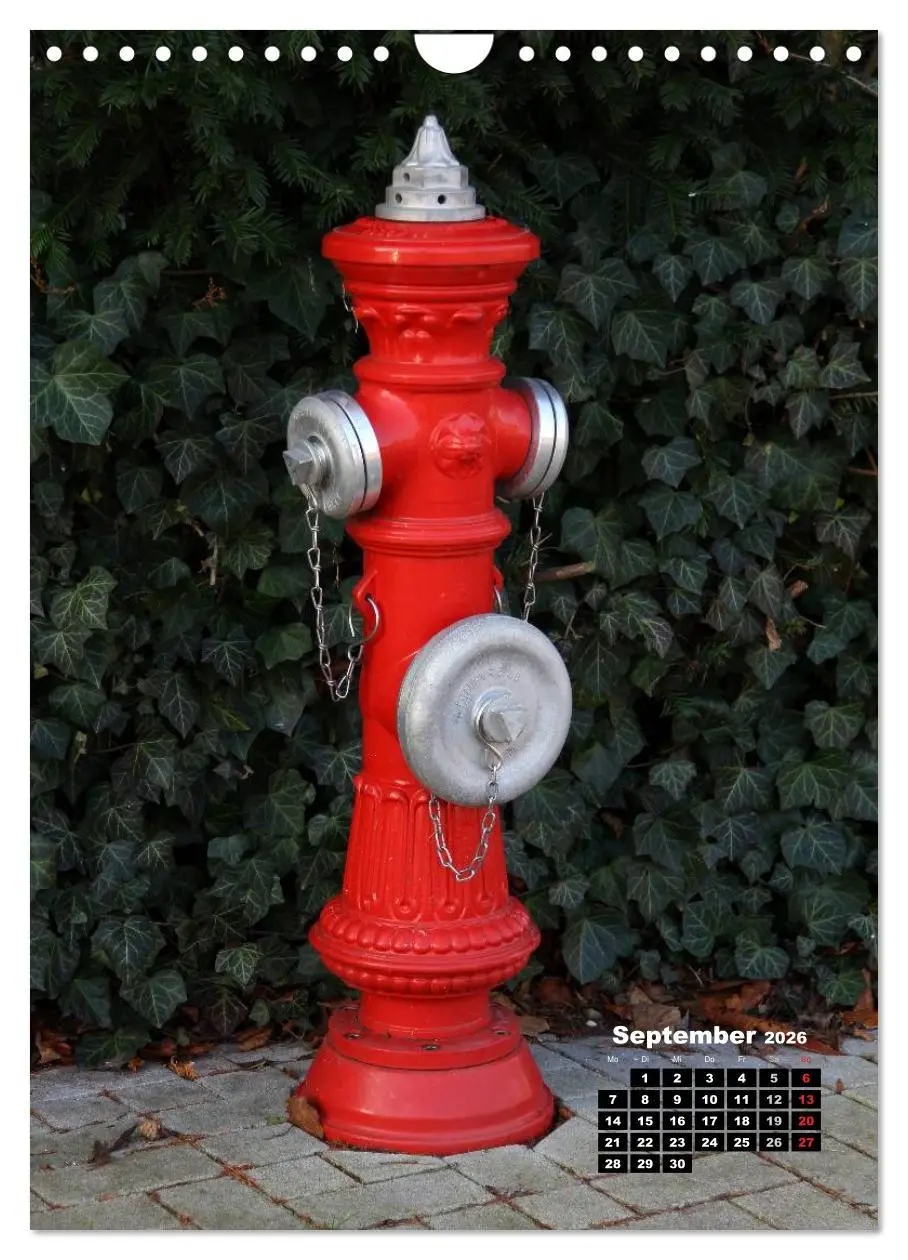 Bild: 9783516450989 | Nostalgie Hydranten (Wandkalender 2026 DIN A4 hoch), CALVENDO...