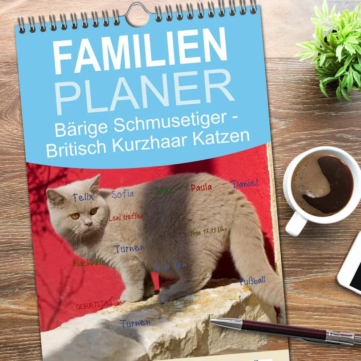Bild: 9783516520989 | Familienplaner 2026 - Bärige Schmusetiger - Britisch Kurzhaar...