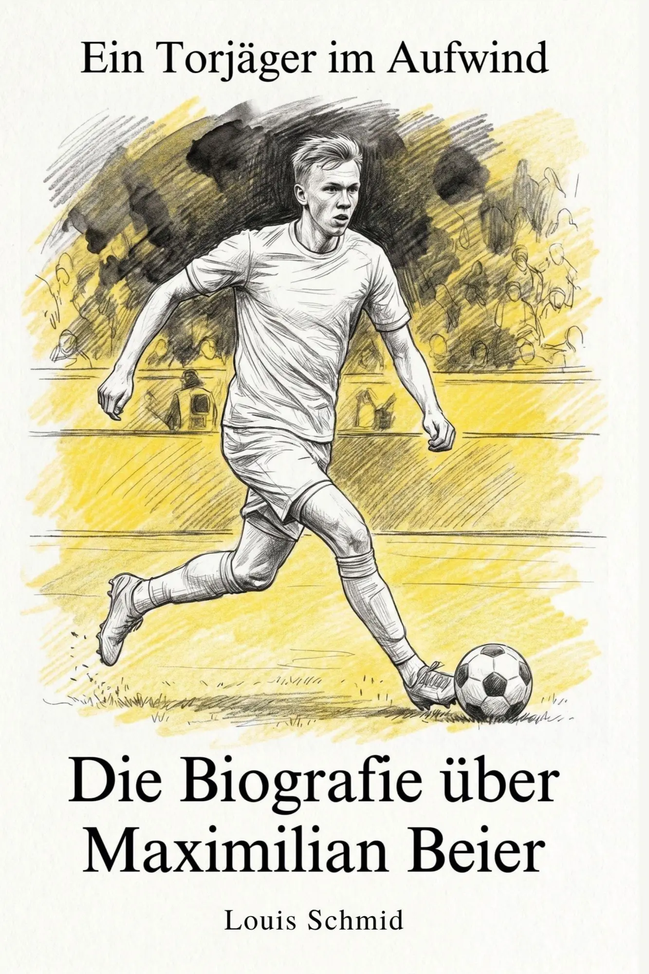 Cover: 9783696400989 | Die Biografie über Maximilian Beier | Ein Torjäger im Aufwind | Schmid