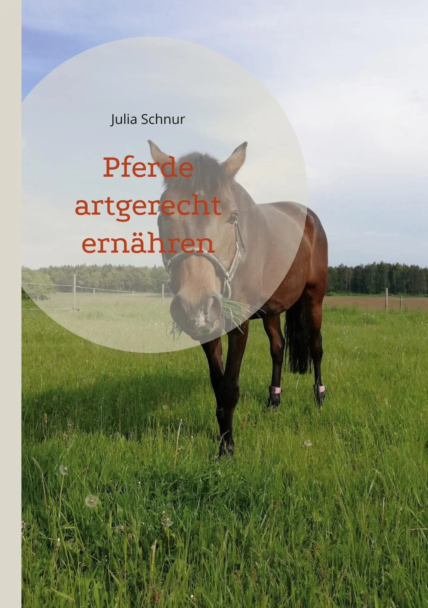 Cover: 9783739200989 | Pferde artgerecht ernähren | Julia Schnur | Taschenbuch | 72 S. | 2023