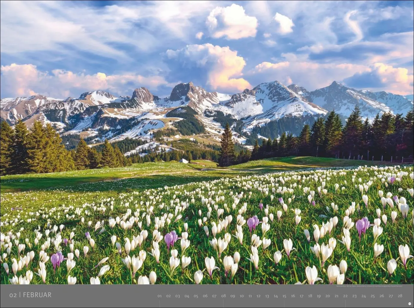 Bild: 9783756410989 | Alpen - Edition Alexander von Humboldt Kalender 2026 | Heye | Kalender