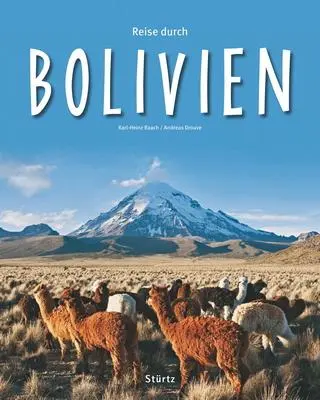 Cover: 9783800340989 | Reise durch Bolivien | Andreas Drouve | Buch | Reise durch | 136 S.