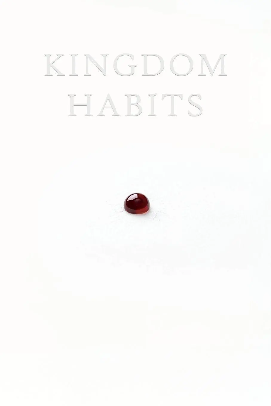Cover: 9798898330989 | Kingdom Habits | Scott Donnell | Taschenbuch | Englisch | 2026