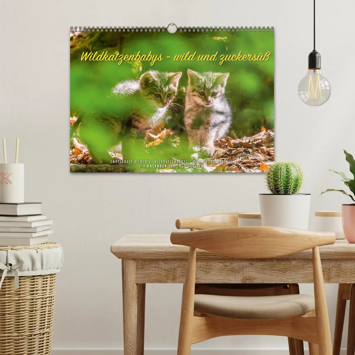 Bild: 9783435231089 | Wildkatzenbabys - wild und zuckersüß. (Wandkalender 2025 DIN A3...