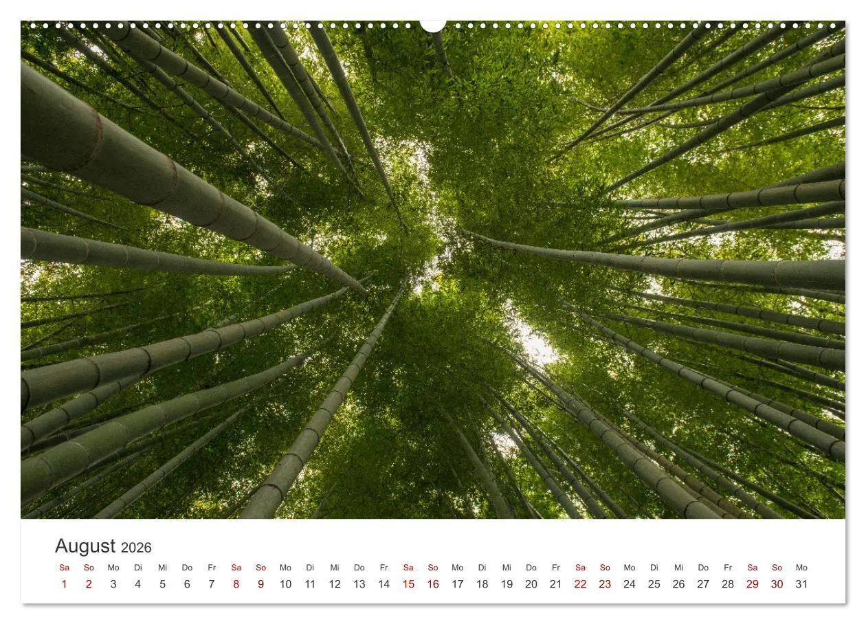 Bild: 9783457491089 | Japanischer Herbst und Laub (Wandkalender 2026 DIN A2 quer),...