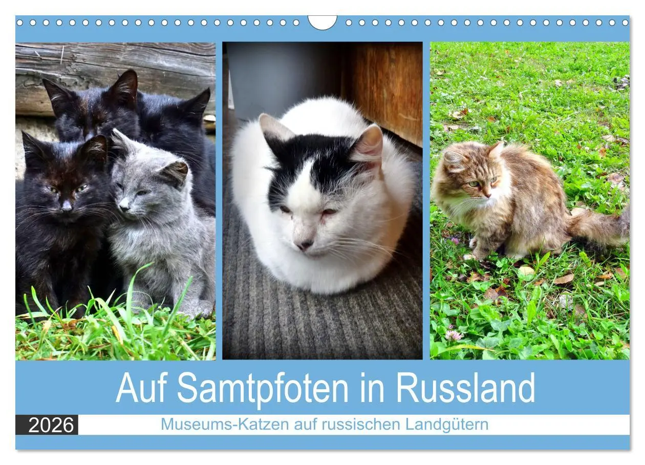 Cover: 9783457631089 | Auf Samtpfoten in Russland - Museums-Katzen auf russischen...