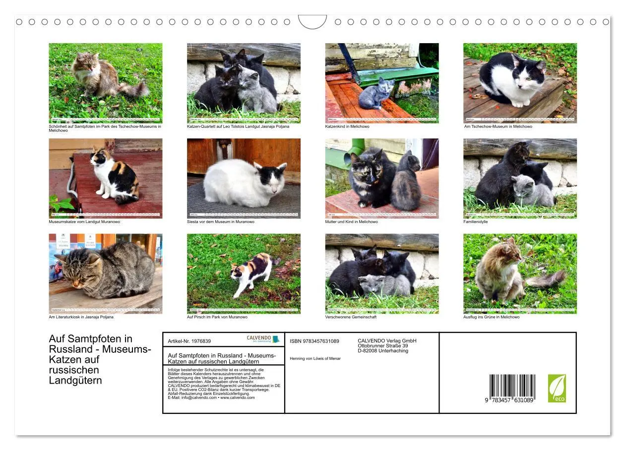 Bild: 9783457631089 | Auf Samtpfoten in Russland - Museums-Katzen auf russischen...