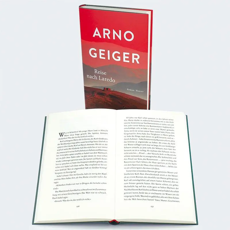 Bild: 9783446281189 | Reise nach Laredo | Roman | Arno Geiger | Buch | 272 S. | Deutsch