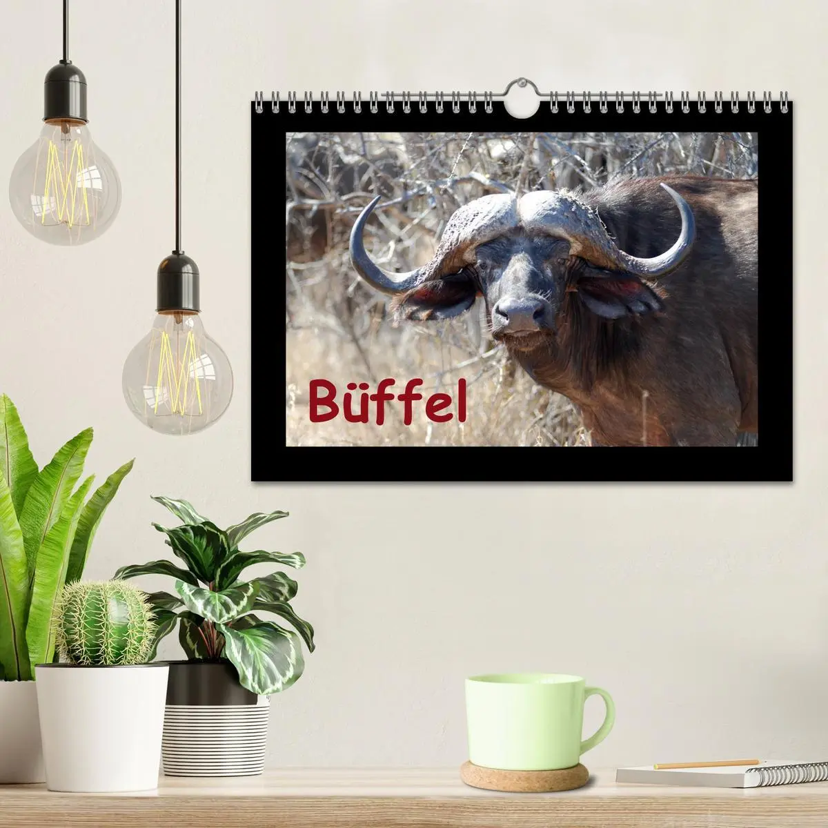 Bild: 9783516021189 | Büffel (Wandkalender 2026 DIN A4 quer), CALVENDO Monatskalender | Ohm