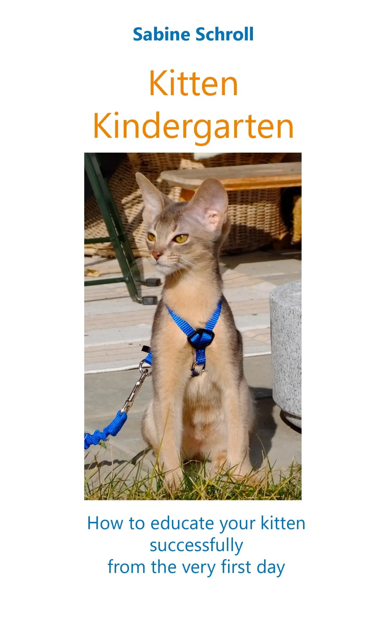 Cover: 9783743111189 | Kitten Kindergarten | Sabine Schroll | Taschenbuch | 224 S. | Englisch