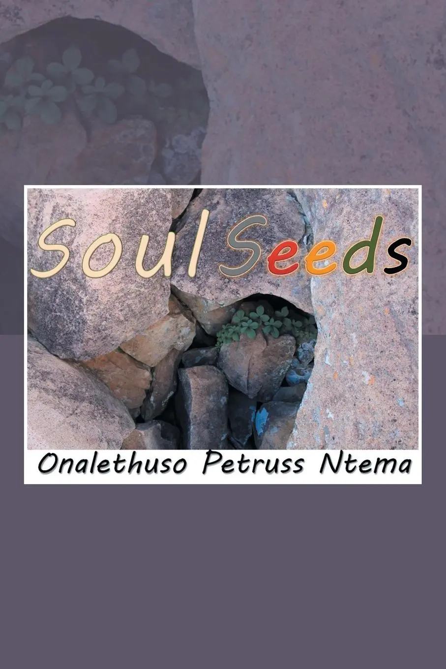 Cover: 9781493141289 | Soul Seeds | Reality and Mental Inspiration Poetry | Ntema | Buch