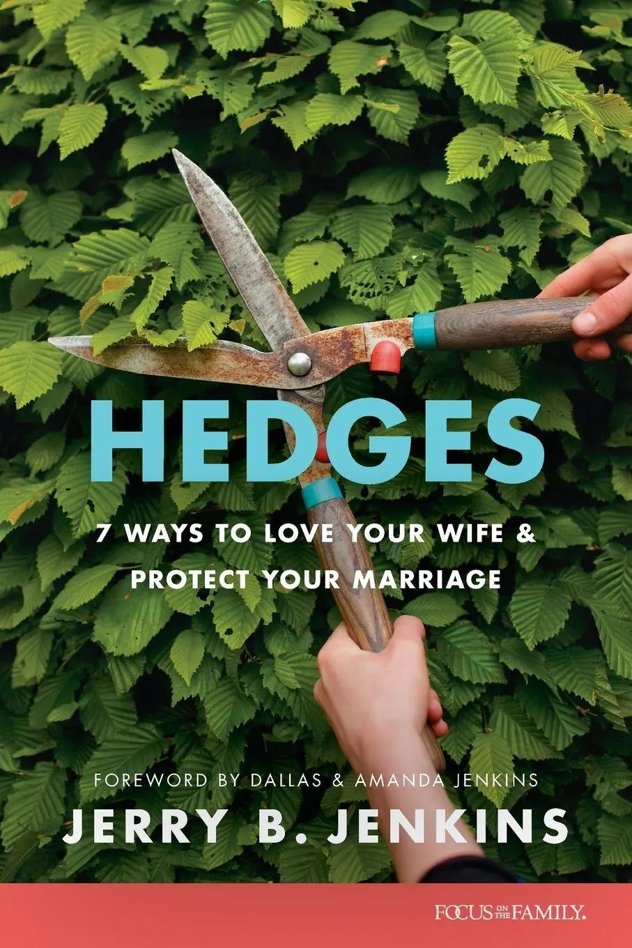Cover: 9781646071289 | Hedges | Jerry Jenkins | Taschenbuch | Englisch | 2024