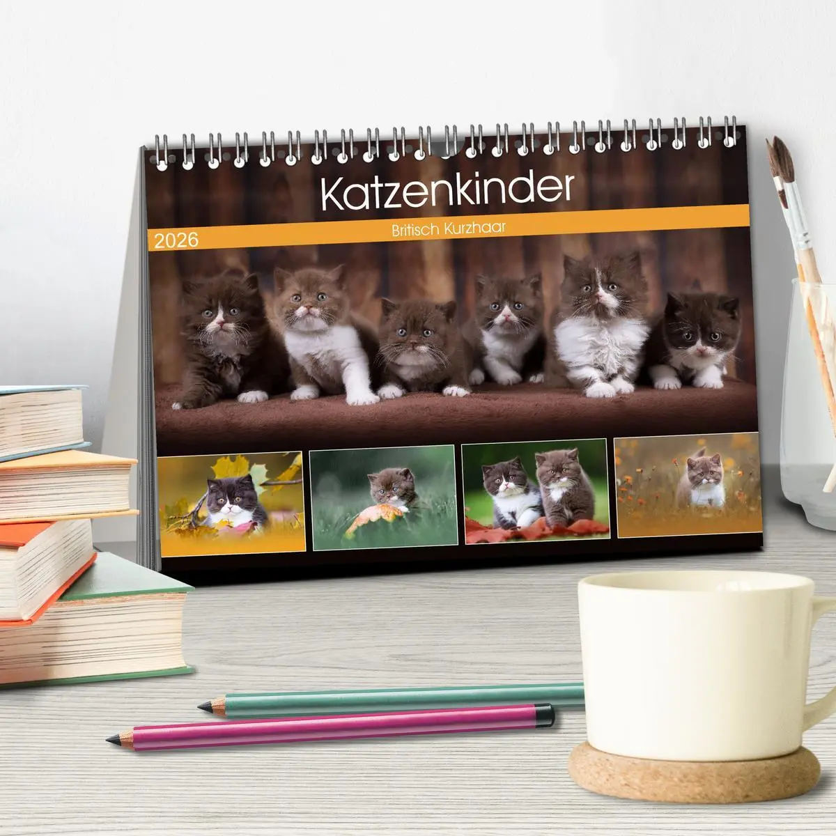 Bild: 9783457841389 | Katzenkinder - Britisch Kurzhaar (Tischkalender 2026 DIN A5 quer),...