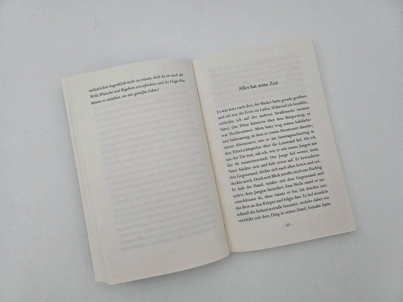 Bild: 9783492321389 | Risse | Angelika Klüssendorf | Taschenbuch | 176 S. | Deutsch | 2025