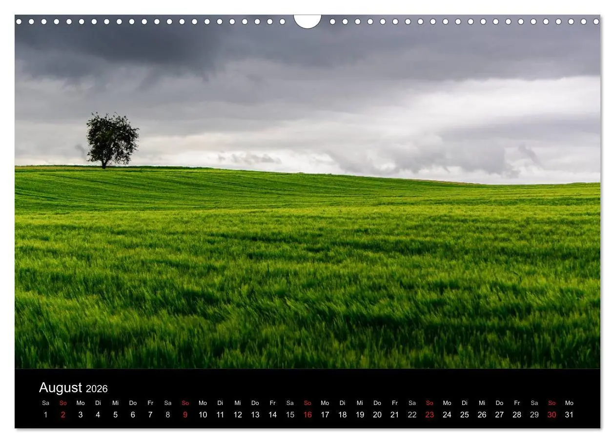 Bild: 9783516001389 | Schwabens Schönheit (Wandkalender 2026 DIN A3 quer), CALVENDO...
