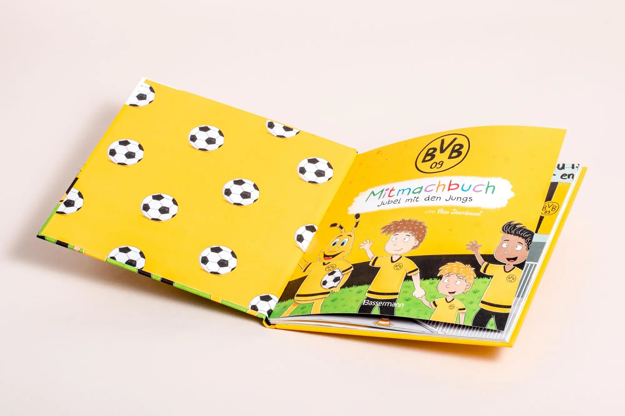Bild: 9783809451389 | BVB - Ein Mitmachbuch zum Schütteln, Schaukeln, Pusten, Klopfen und...