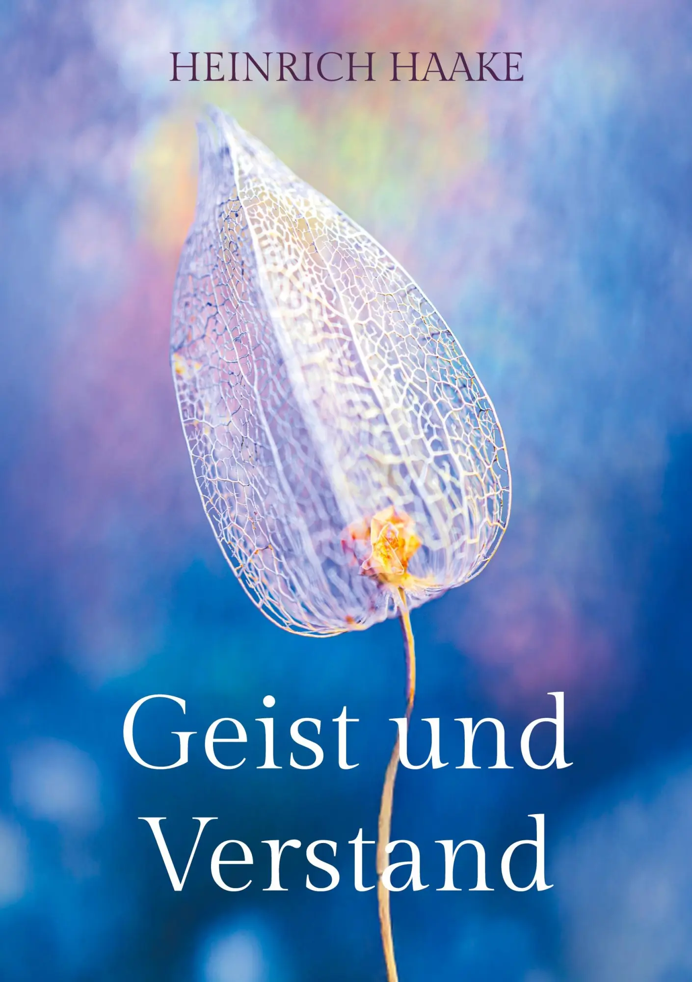 Cover: 9783819281389 | Geist und Verstand | Teil II | Heinrich Haake | Taschenbuch | 150 S.