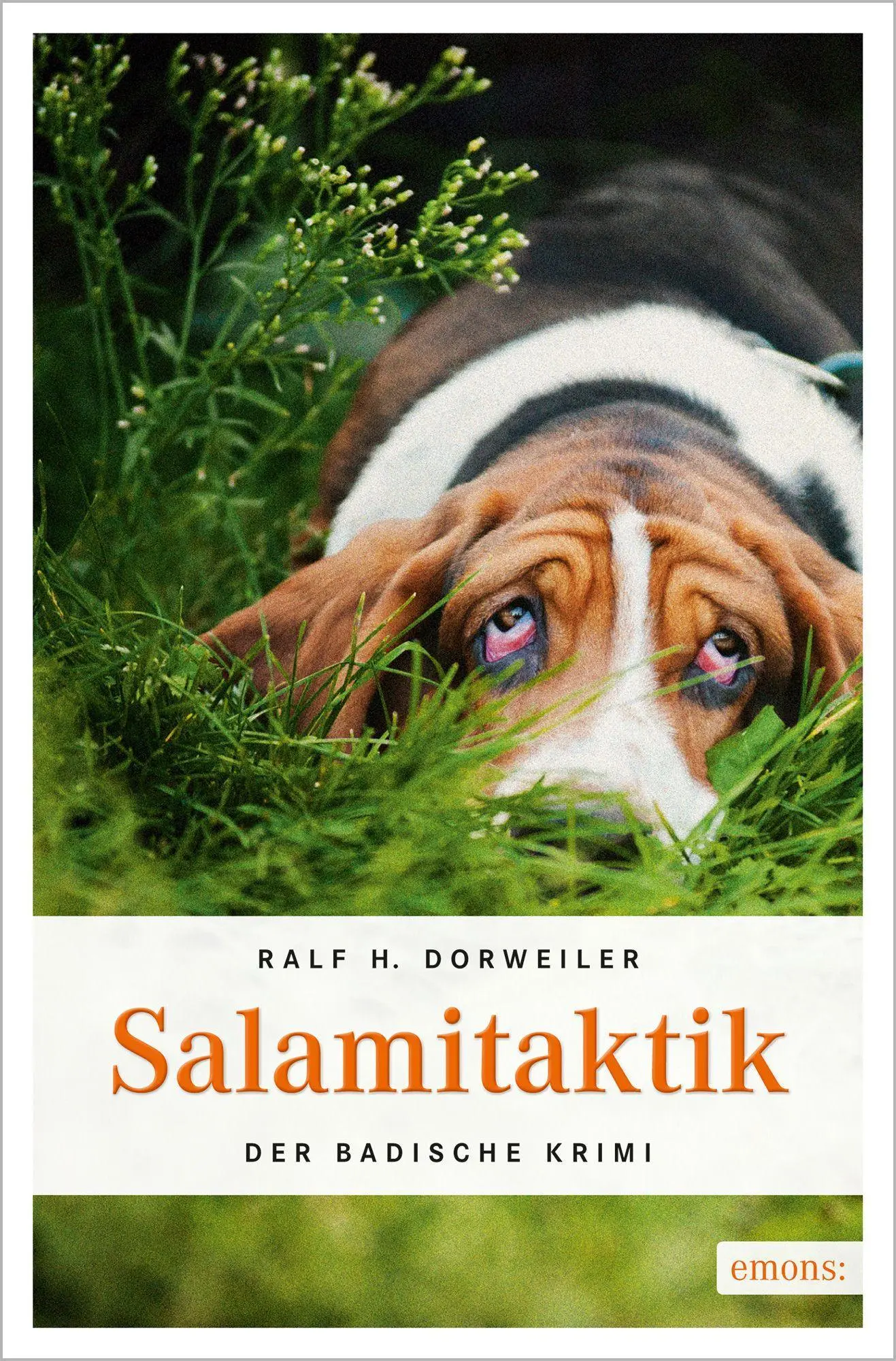 Cover: 9783954511389 | Salamitaktik | Ralf H. Dorweiler | Taschenbuch | 304 S. | Deutsch