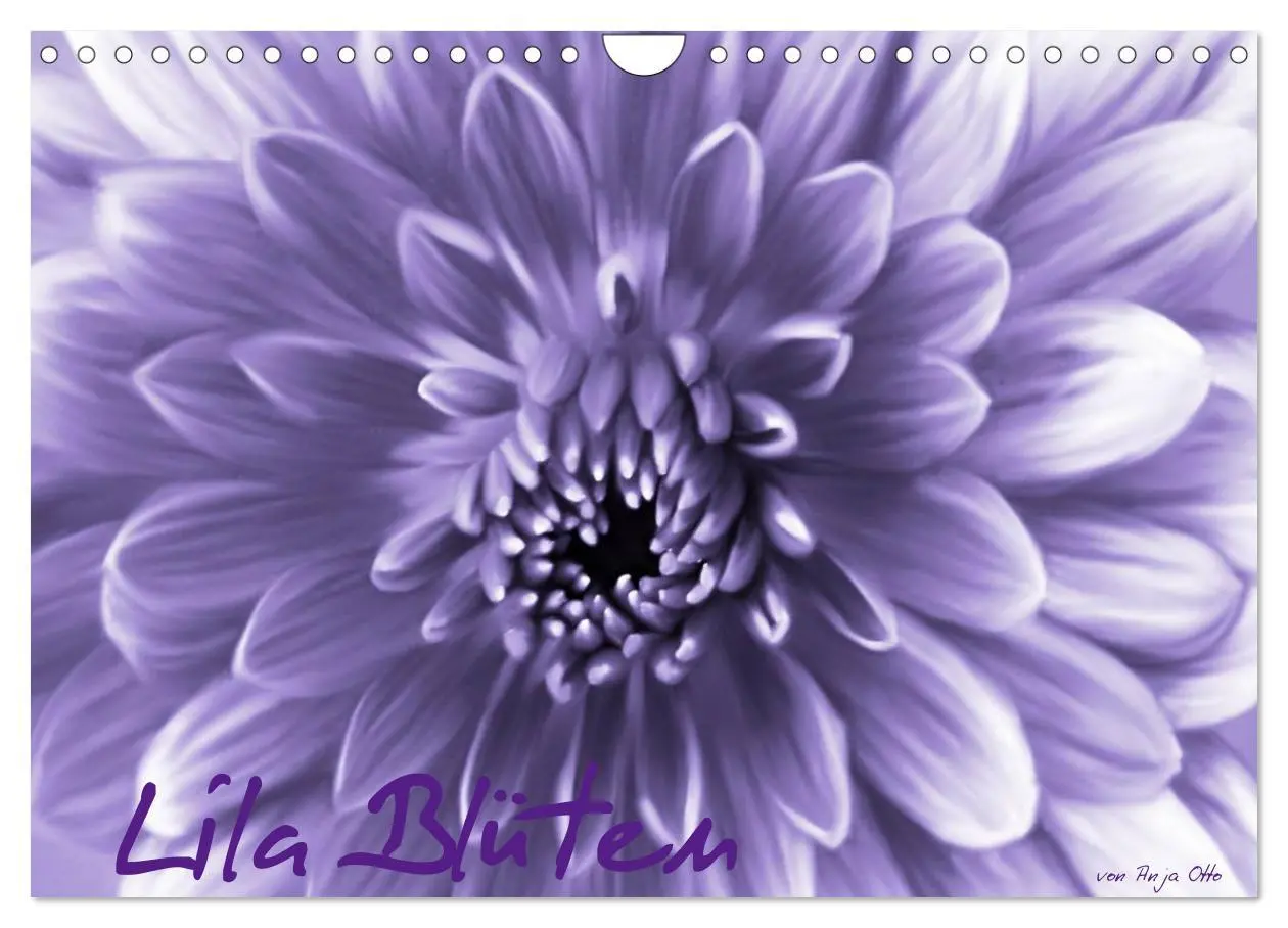 Cover: 9783516231489 | Lila Blüten (Wandkalender 2026 DIN A4 quer), CALVENDO Monatskalender