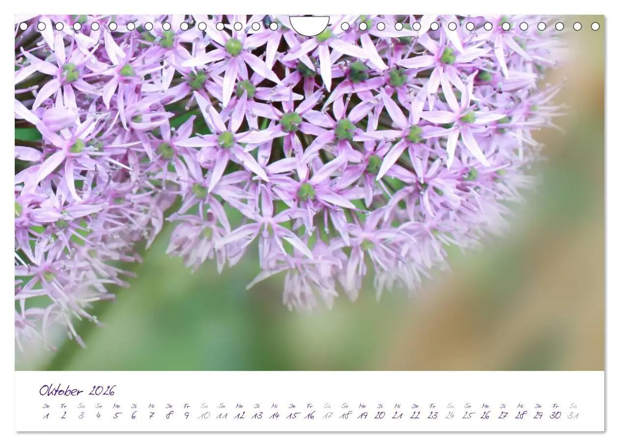 Bild: 9783516231489 | Lila Blüten (Wandkalender 2026 DIN A4 quer), CALVENDO Monatskalender
