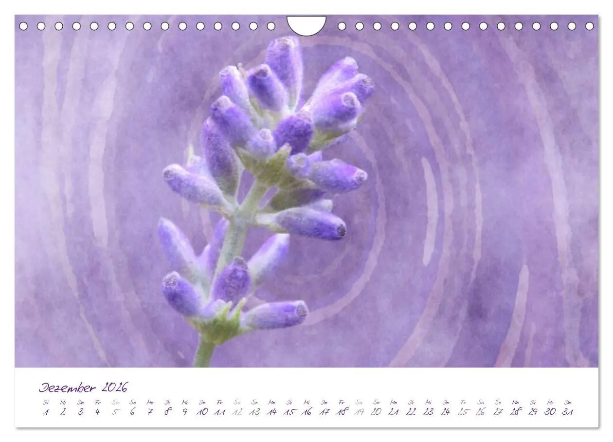 Bild: 9783516231489 | Lila Blüten (Wandkalender 2026 DIN A4 quer), CALVENDO Monatskalender