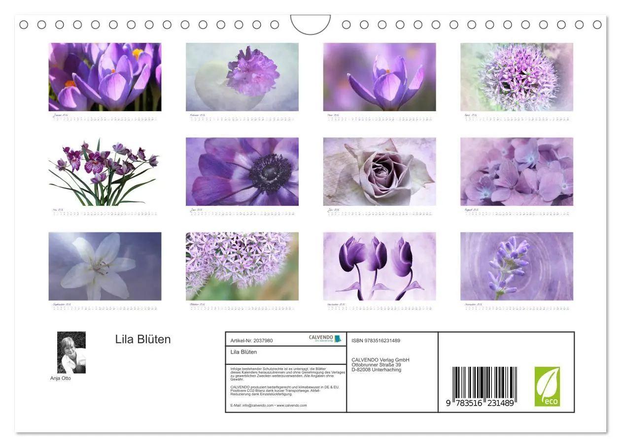 Bild: 9783516231489 | Lila Blüten (Wandkalender 2026 DIN A4 quer), CALVENDO Monatskalender