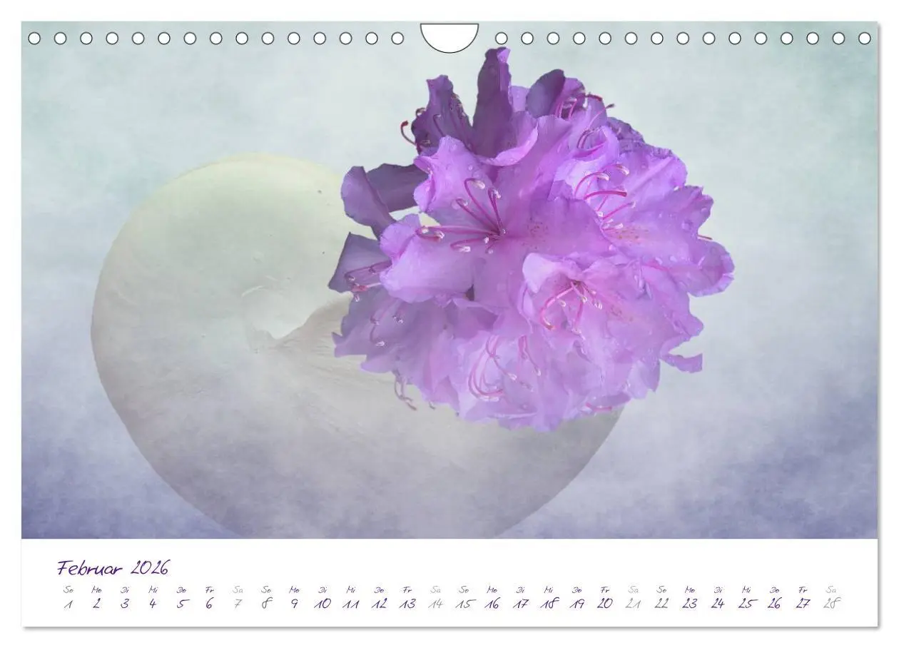 Bild: 9783516231489 | Lila Blüten (Wandkalender 2026 DIN A4 quer), CALVENDO Monatskalender