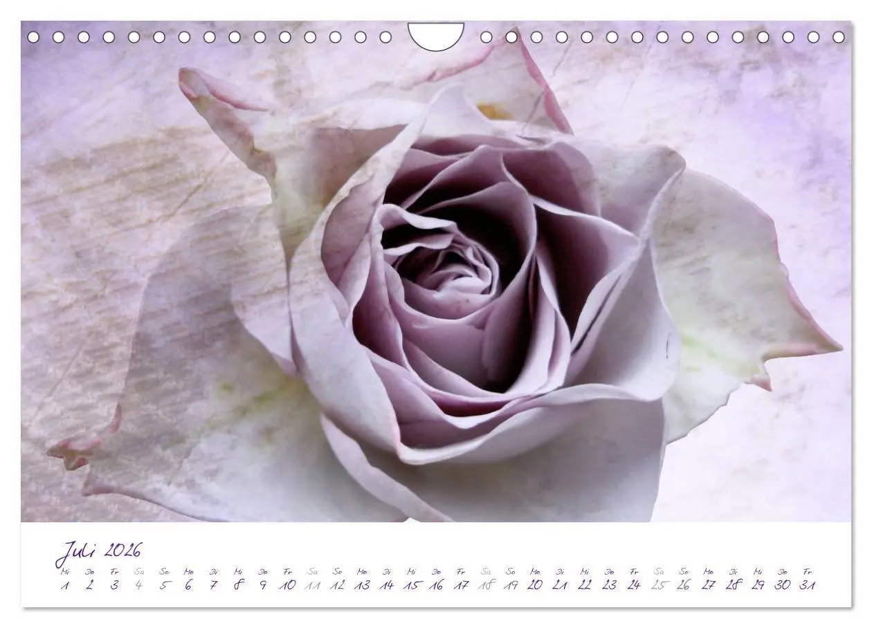 Bild: 9783516231489 | Lila Blüten (Wandkalender 2026 DIN A4 quer), CALVENDO Monatskalender
