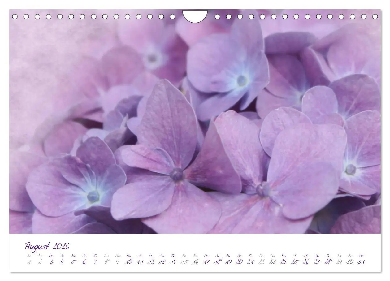 Bild: 9783516231489 | Lila Blüten (Wandkalender 2026 DIN A4 quer), CALVENDO Monatskalender