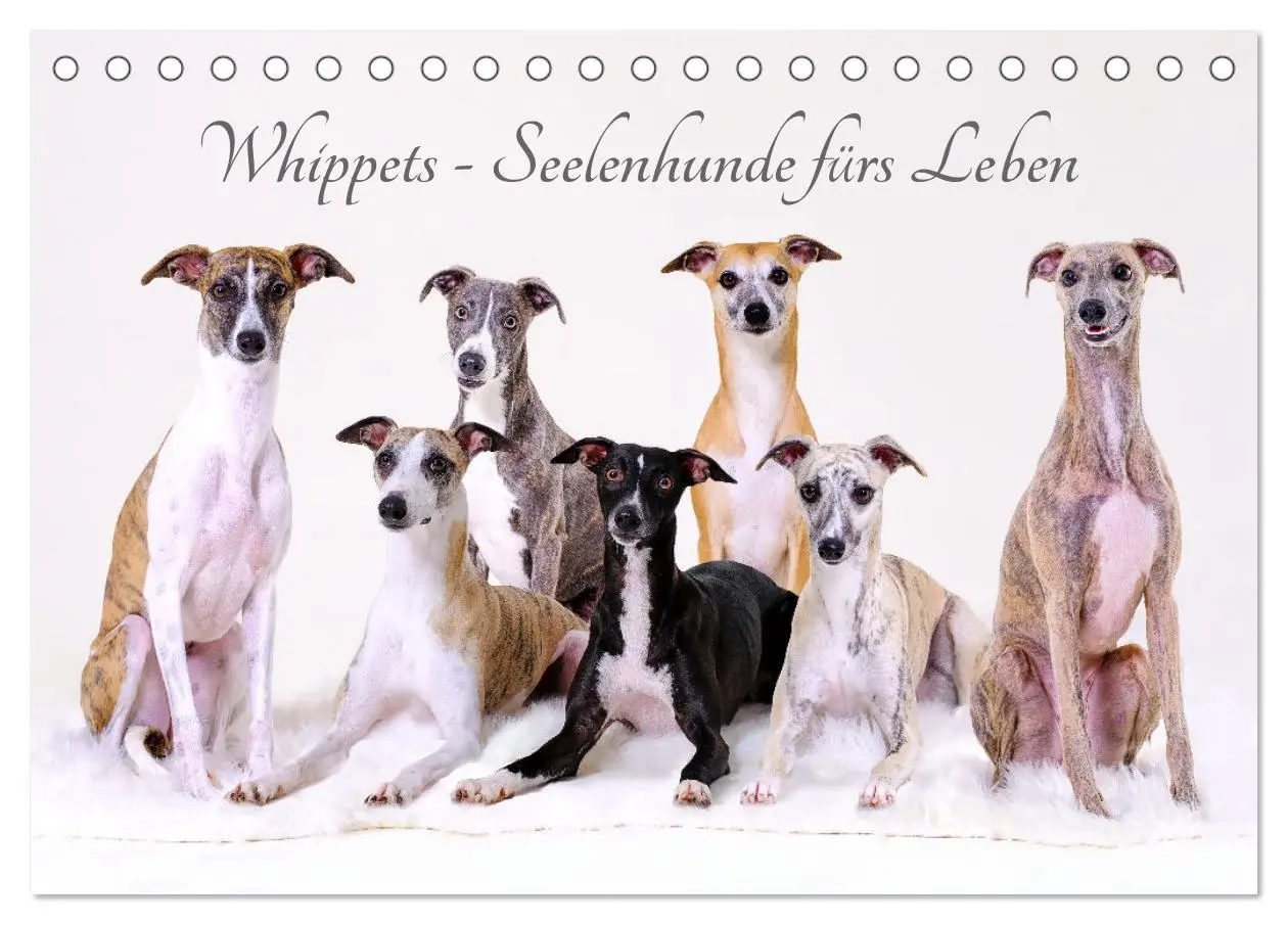 Cover: 9783457511589 | Whippets - Seelenhunde fürs Leben (Tischkalender 2026 DIN A5 quer),...