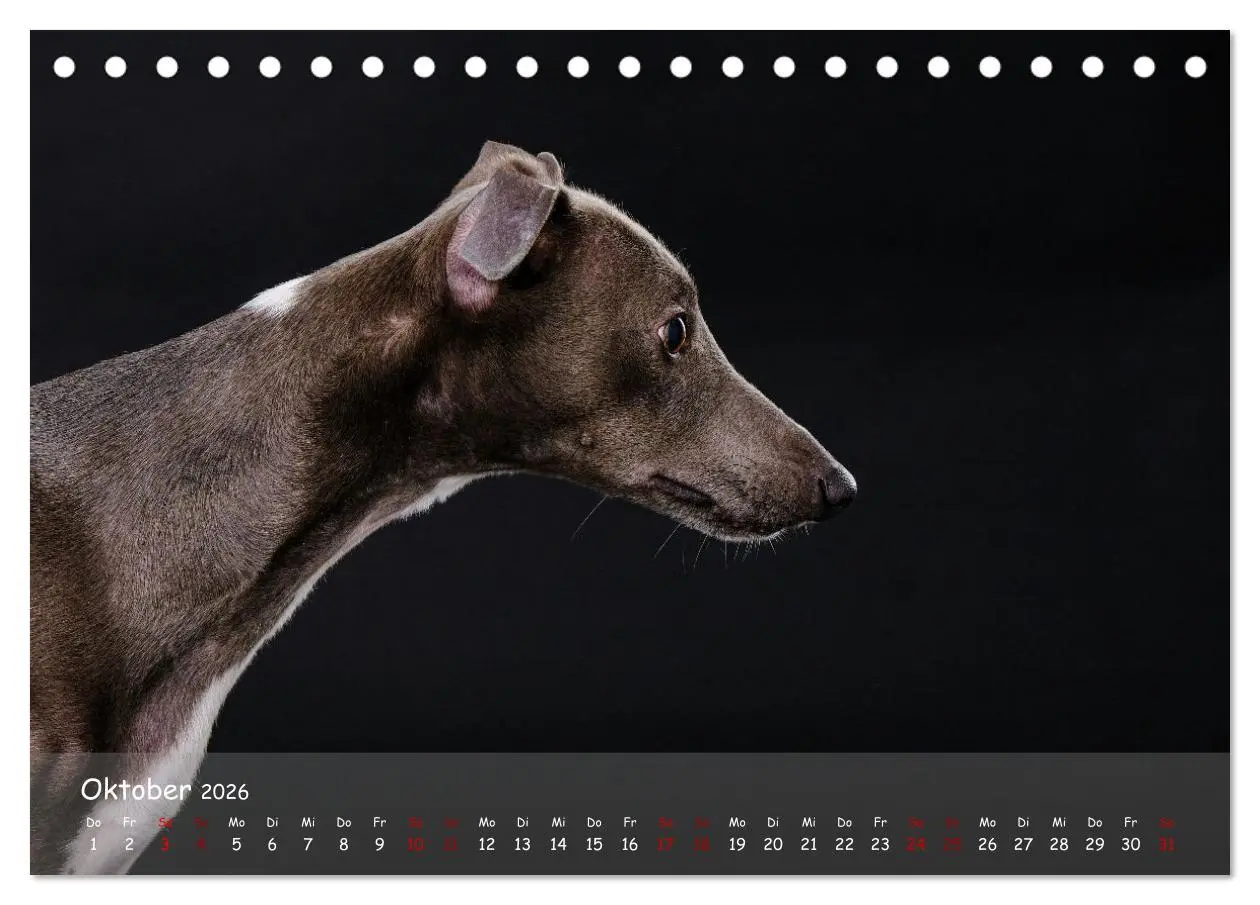 Bild: 9783457511589 | Whippets - Seelenhunde fürs Leben (Tischkalender 2026 DIN A5 quer),...