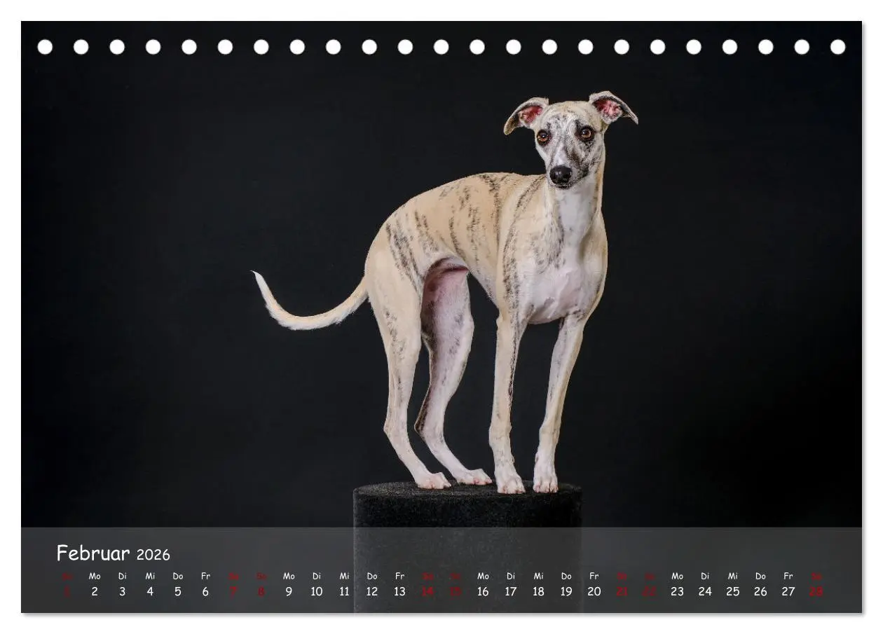 Bild: 9783457511589 | Whippets - Seelenhunde fürs Leben (Tischkalender 2026 DIN A5 quer),...