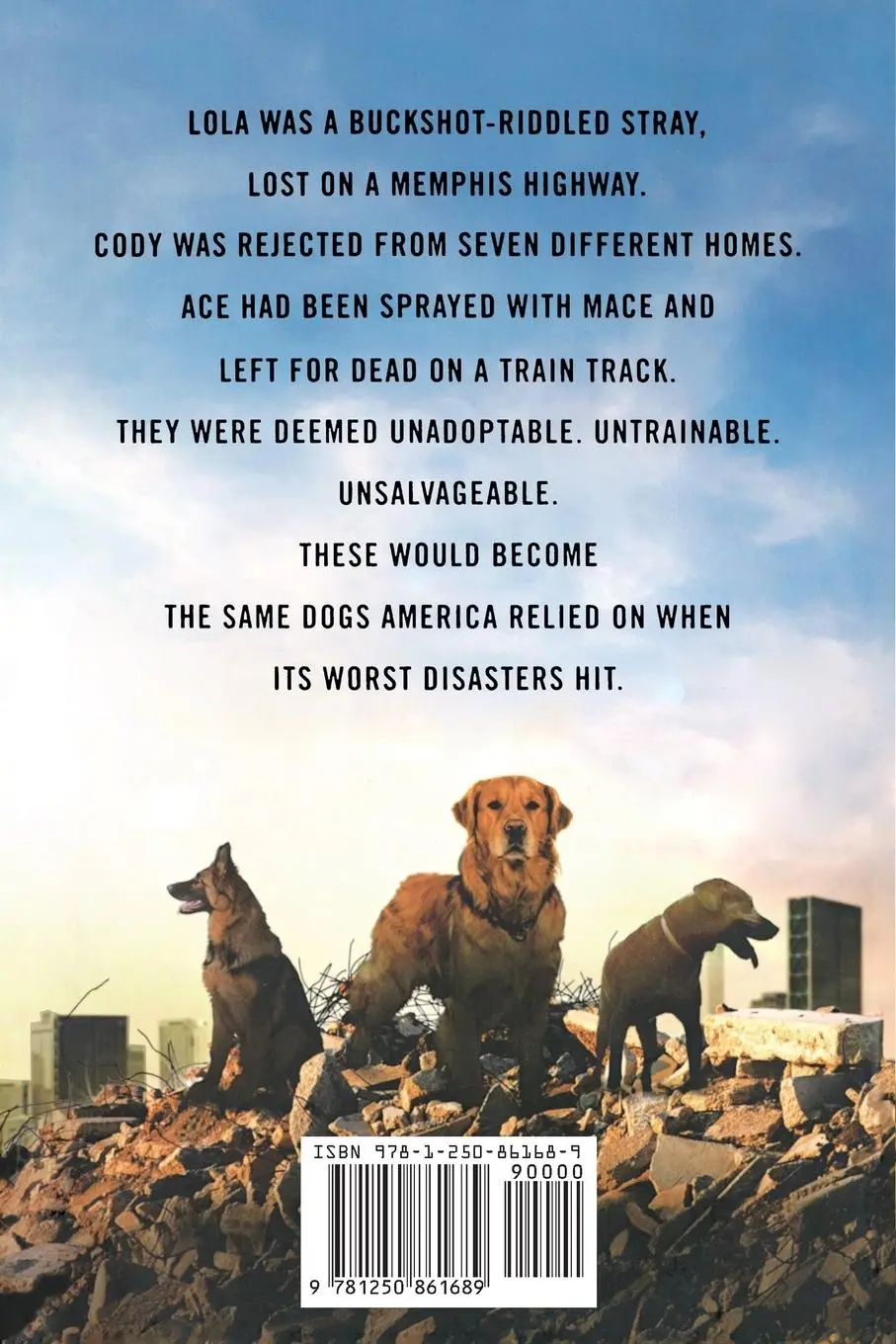 Rückseite: 9781250861689 | Hero Dogs | Wilma Melville | Taschenbuch | Kartoniert / Broschiert