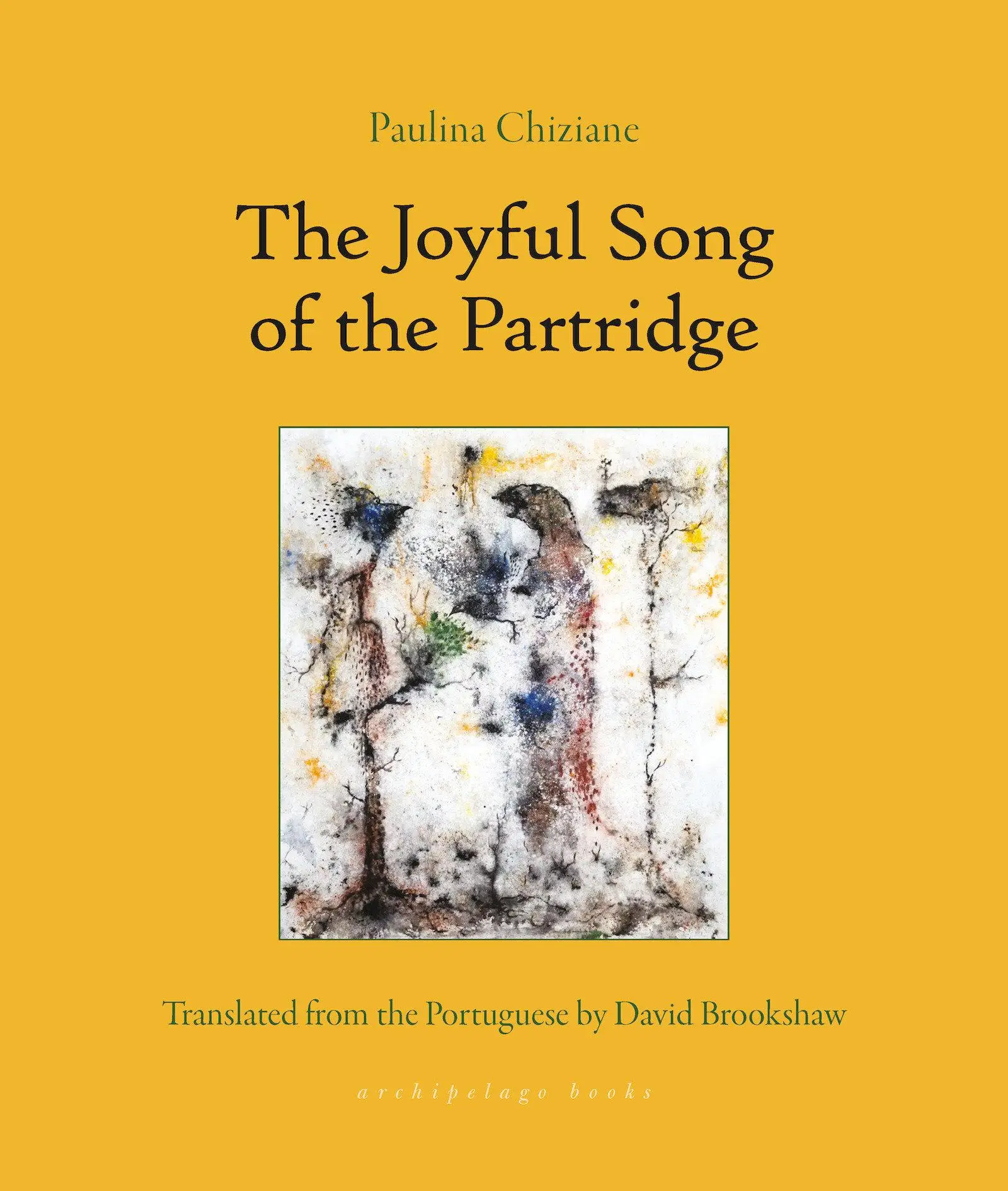 Cover: 9781953861689 | The Joyful Song of the Partridge | Paulina Chiziane | Taschenbuch