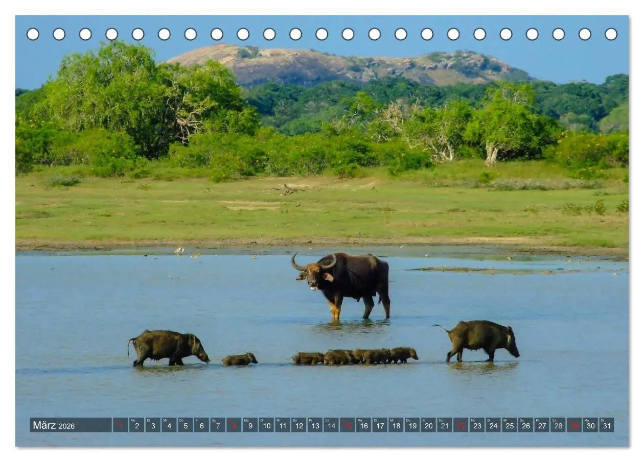 Bild: 9783516211689 | Sri Lanka - Eine Bilder-Reise (Tischkalender 2026 DIN A5 quer),...