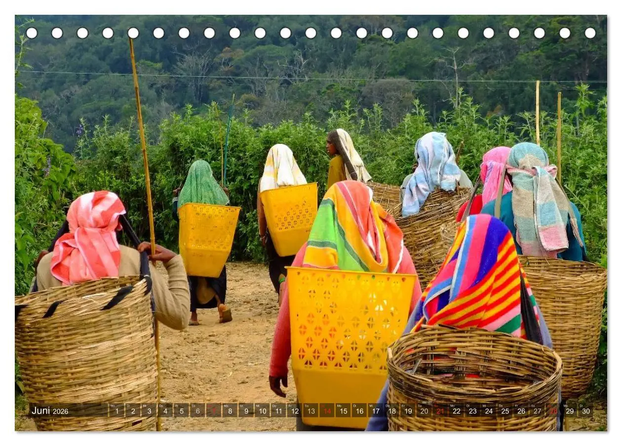 Bild: 9783516211689 | Sri Lanka - Eine Bilder-Reise (Tischkalender 2026 DIN A5 quer),...