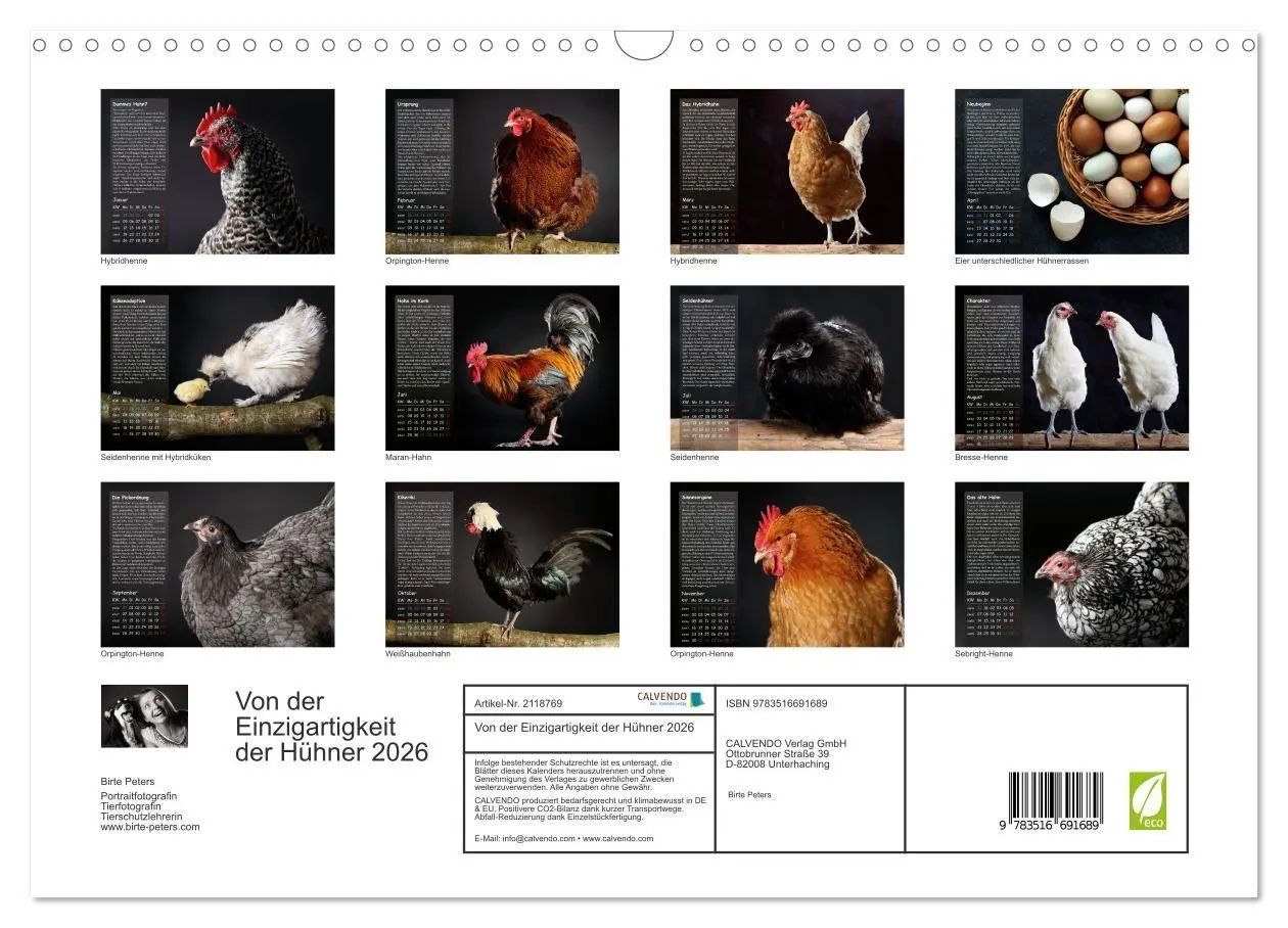 Bild: 9783516691689 | Von der Einzigartigkeit der Hühner 2026 (Wandkalender 2026 DIN A3...