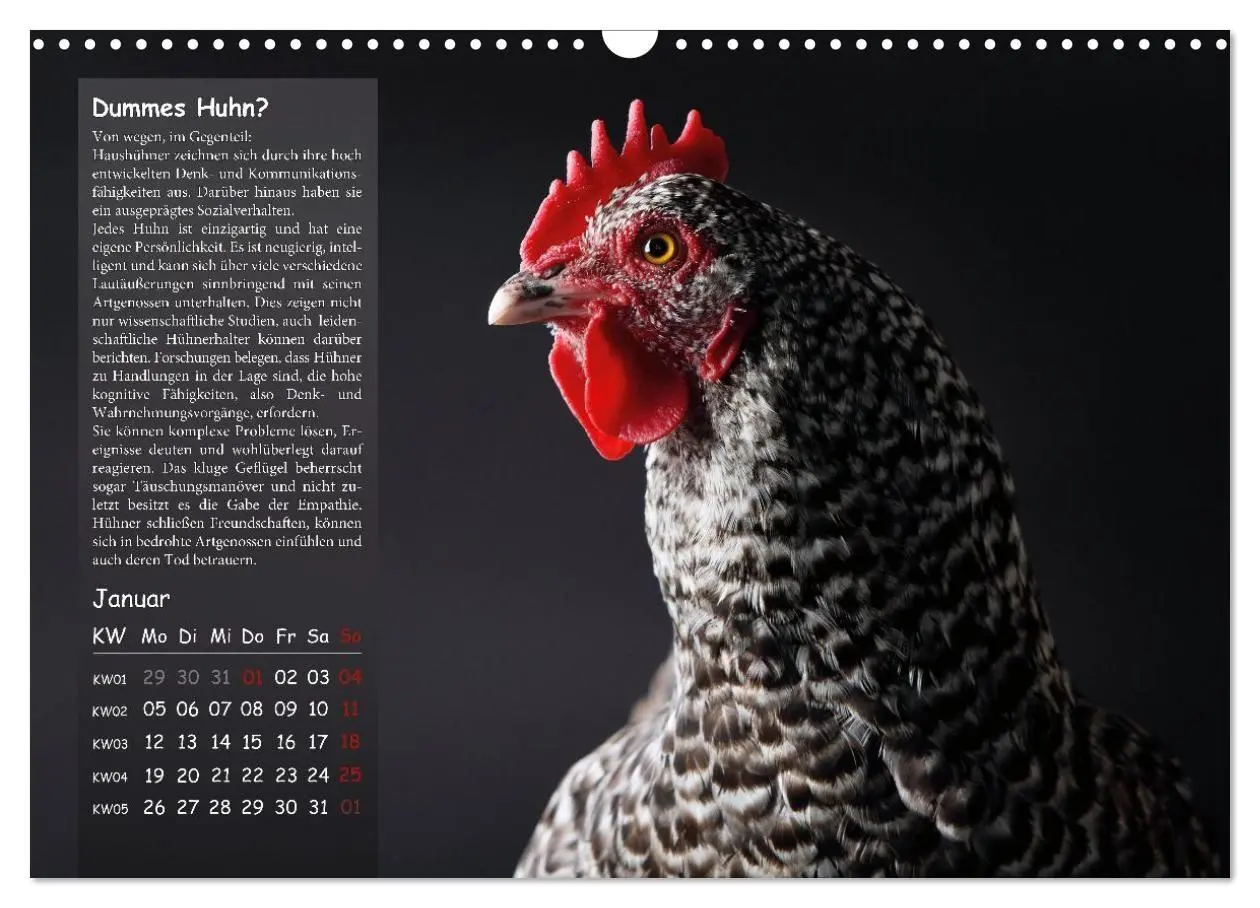 Bild: 9783516691689 | Von der Einzigartigkeit der Hühner 2026 (Wandkalender 2026 DIN A3...